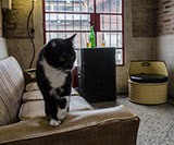 alquiler sala ensayo zona oeste